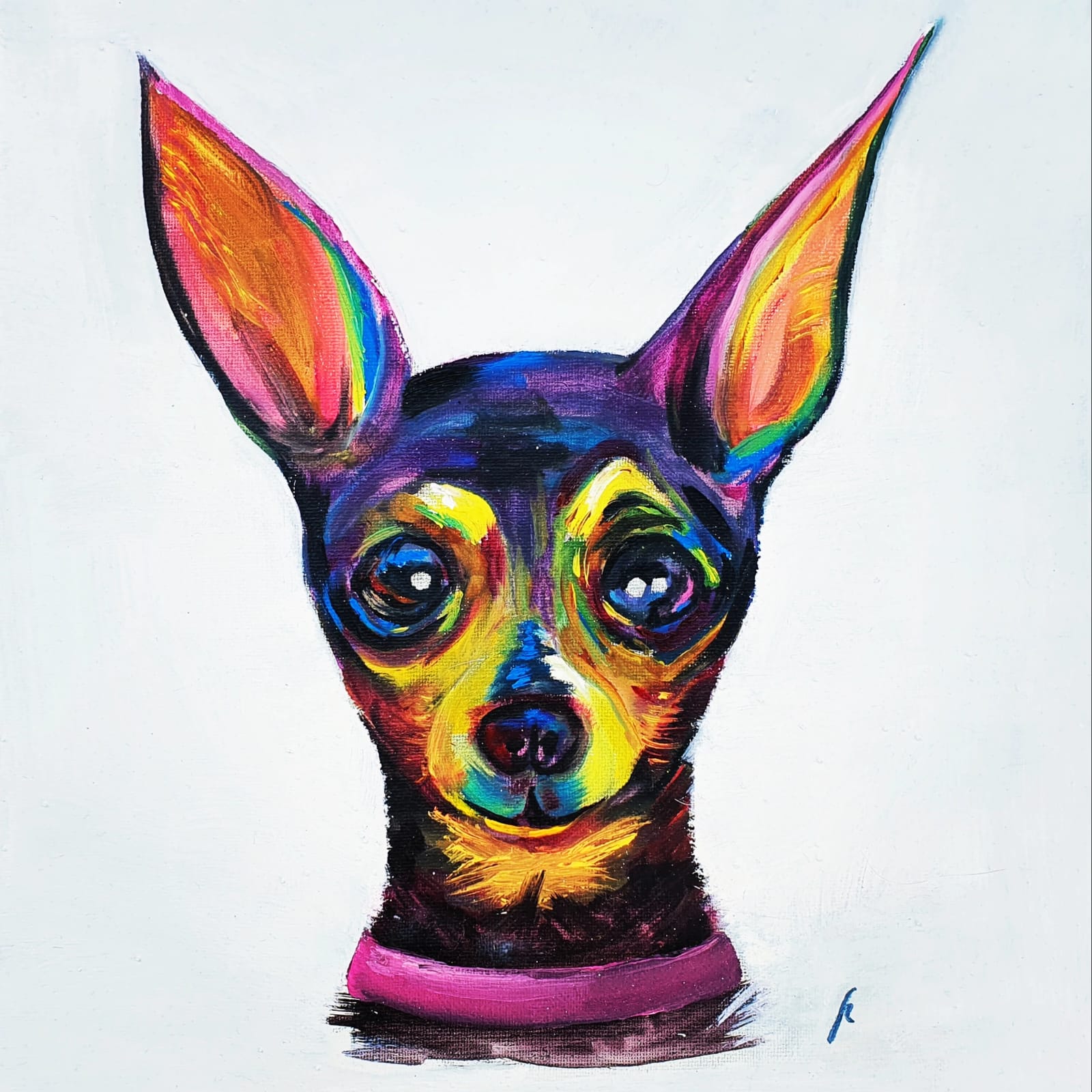 Chihuahua hembra
